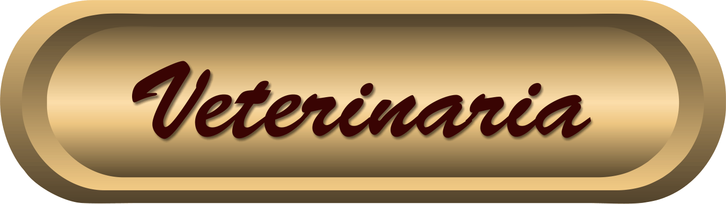 veterinaria